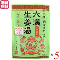 生姜湯 しょうが湯 生姜 六漢生姜湯 5袋入り イトク食品 ５セット | メガヘルス