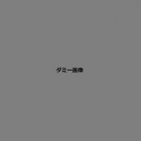 ラドンナ フォトフレーム 写真たて ブライダル 4面 SF11-40 | MEGA STAR