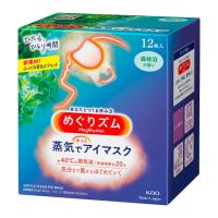 めぐりズム 蒸気でホットアイマスク 森林浴の香り (12枚入) 花王 | MEGA Yahoo!店