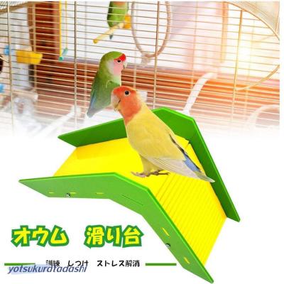 17⭐ 滑り台大サイズ‼ バードトイ インコ 楽天市場】室内 すべり台（鳥