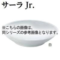 メタル丼 サーラ 24.5cm サーラJr. ステンレス　青磁 【受注生産品】 | 開業プロ メイチョー Yahoo!店