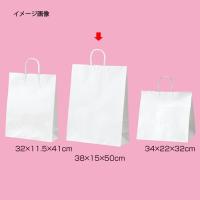 丸ひも ローコストタイプ 白無地 38×15×50 50枚 61-658-55-9 【店舗什器 小物 ディスプレー ギフト ラッピング 包装紙 袋 消耗品 店舗備品】 | 厨房卸問屋名調