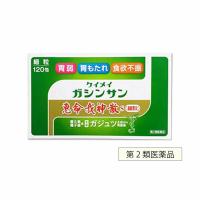 第2類医薬品 恵命我神散s（ケイメイガシンサン）（細粒）120包 漢方 胃もたれ | メロディ薬店