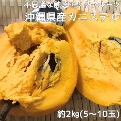 沖縄市場たま青果 - カニステル｜Yahoo!ショッピング
