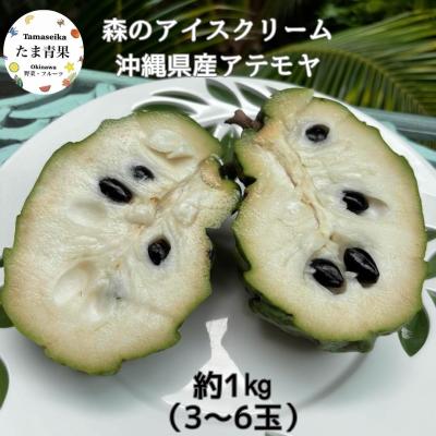 アテモヤのおすすめ人気商品一覧 通販 - Yahoo!ショッピング