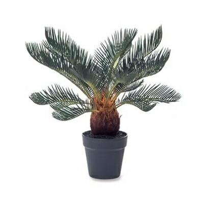 ソテツ（人工観葉、フェイクグリーン） | 花、ガーデニング のおすすめ