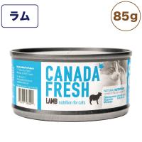 ペットカインド カナダフレッシュ 猫用缶詰 ラム SAP 85g 猫 フード キャットフード 缶詰 ウェットフード 缶 全年齢対応 PetKind | ワンちゃんの楽園 メルランド