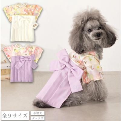 クレイジー ブーの商品一覧 通販 - Yahoo!ショッピング