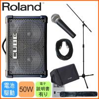 Roland ローランド CUBE STREET EX 有線マイク1本＋スピーカーケース付きセット | 福山楽器センターYS店