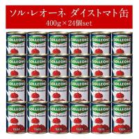 ソル・レオーネ ダイストマト缶400g×24個（1ケース）［常温/冷蔵可］【2〜3営業日以内に発送】 送料無料 | めしや Yahoo!ショッピング店