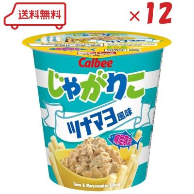じゃがりこ　3種48個　セット じゃがりこセットのおすすめ人気商品一覧 通販 - Yahoo!ショッピング
