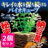 水槽掃除 グッズ ろ過材 浄化装置 コケ 苔 取り 水草 水換え 不要 簡単 口コミ 効果 お魚天国バイオキューブ Sei164 1 美容と健康のミセルyahoo 店 通販 Yahoo ショッピング