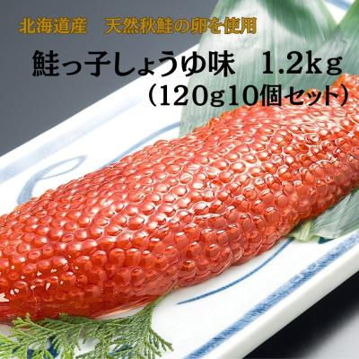 すじこ 2kgのおすすめ人気商品一覧 通販 - Yahoo!ショッピング