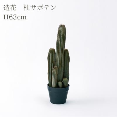 柱サボテン 弁慶柱の商品一覧 通販 - Yahoo!ショッピング