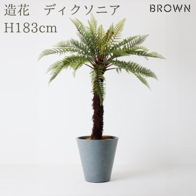 ディクソニアのおすすめ人気ランキングTOP100 - Yahoo!ショッピング