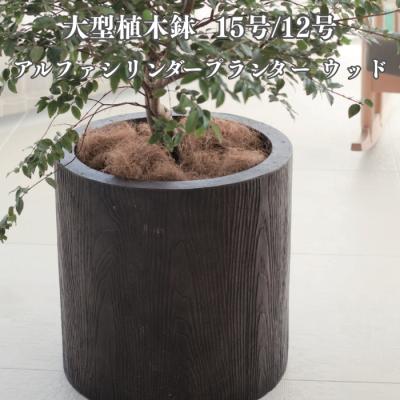 鉢 15号のおすすめ人気商品一覧 通販 - Yahoo!ショッピング