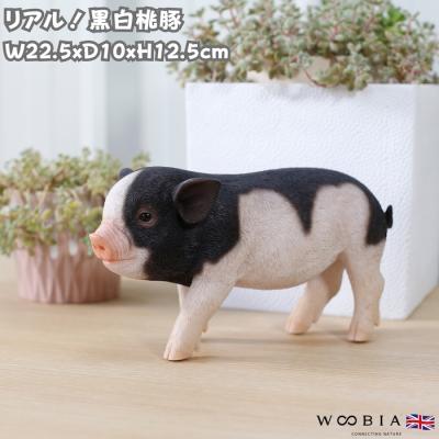 豚 置物 玄関の商品一覧 通販 - Yahoo!ショッピング