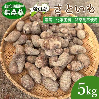 里芋のおすすめ人気商品一覧 通販 - Yahoo!ショッピング