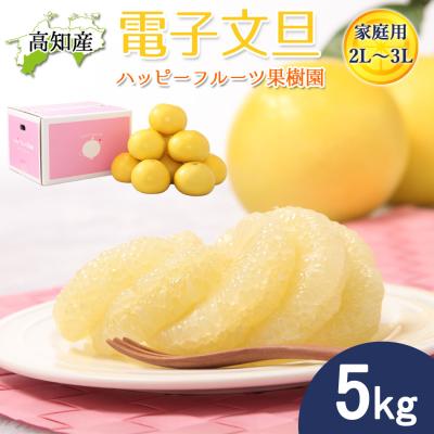 みどりや&GIFT - ぶんたん｜Yahoo!ショッピング