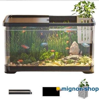 金魚飼育セット 金魚飼育セットのおすすめ人気商品一覧 通販 - Yahoo!ショッピング