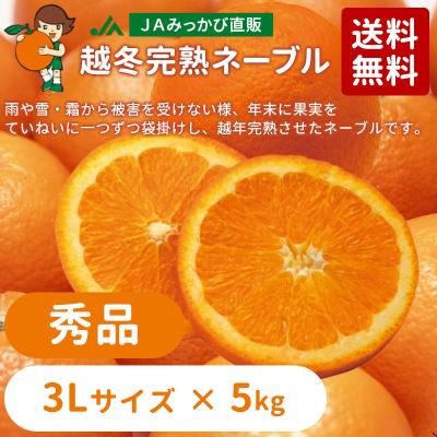 JAみっかび ミカちゃんショップ - 三ヶ日みかん【越冬完熟ネーブル