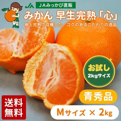 JAみっかび ミカちゃんショップ - 完熟早生 心【青秀品】｜Yahoo
