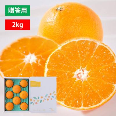 905愛果 まどんな 家庭用 10kg (紅まどんな) 愛媛みかんに次ぐ人気品種・まどんなのお得な訳あり品が登場