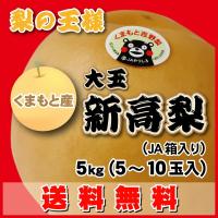 大玉　新高梨スポット限定 送料無料で梨の王様！大玉・新高梨5〜10玉入5kg（JA箱入）JAくまもと吉野梨 