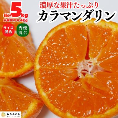 みかん 小玉のおすすめ人気商品一覧 通販 - Yahoo!ショッピング