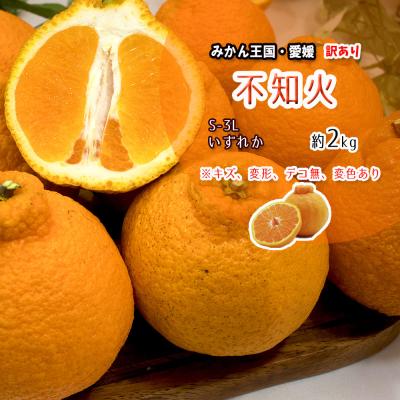 しらぬいのおすすめ人気商品一覧 通販 - Yahoo!ショッピング