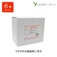 【6個セット】【第2類医薬品】ウチダの生薬製剤二号方 360包×6箱  第2類医薬品 ウチダ和漢薬 頭痛 頭重 肩こり めまい 動悸 | LUCKY CLOVER 健康・美容の専門店