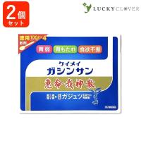 恵命我神散 400g 2個セット 徳用 パウチ袋 ガジュツ 胃腸薬  恵命堂 第2類医薬品 | LUCKY CLOVER 健康・美容の専門店