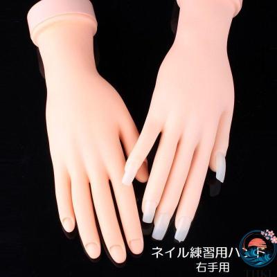 ネイル練習用ハンドの商品一覧 通販 - Yahoo!ショッピング