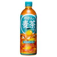 【2ケース48本】やかんの麦茶 from 爽健美茶 PET 650ml | ミルクディーラーヤフー店