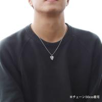 CG-012-11-03 写真5