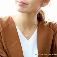 CG-014-11-02 写真5