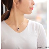 CG-042-61-01 写真8