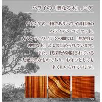 042-62-01 写真5