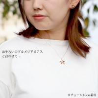CG-087-61-01 写真6