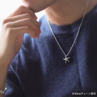 252-11-01 写真7