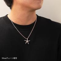 445-11-03 写真8