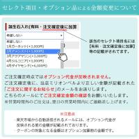 CH1020-W-B 写真11