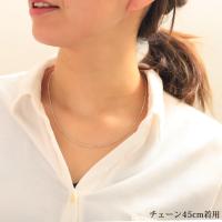CH1020-W 写真8
