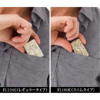 FL101C-FL103CP 写真3