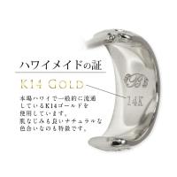 GE103-10W 写真4