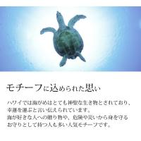 GE106R 写真5