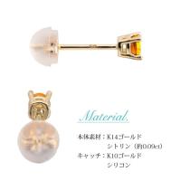 GE107-11 写真8