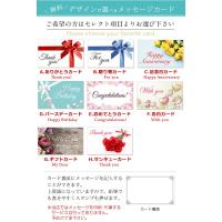 GE107-12 写真15