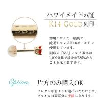 GE107-1 写真10