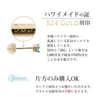 GE107-3 写真10
